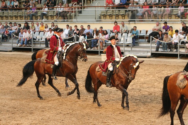 IMG_1950.JPG