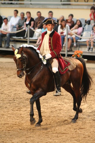 IMG_1959.JPG