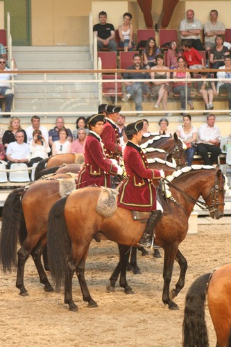 IMG_1968.JPG