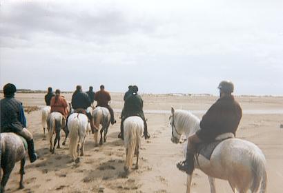 camargue13.jpg