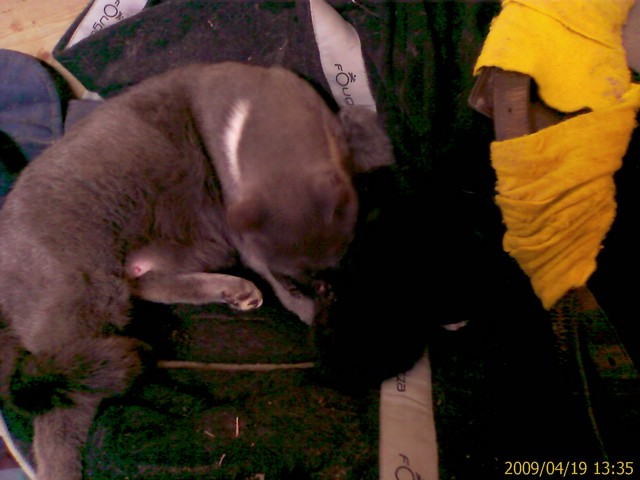 20090419 (2).jpg