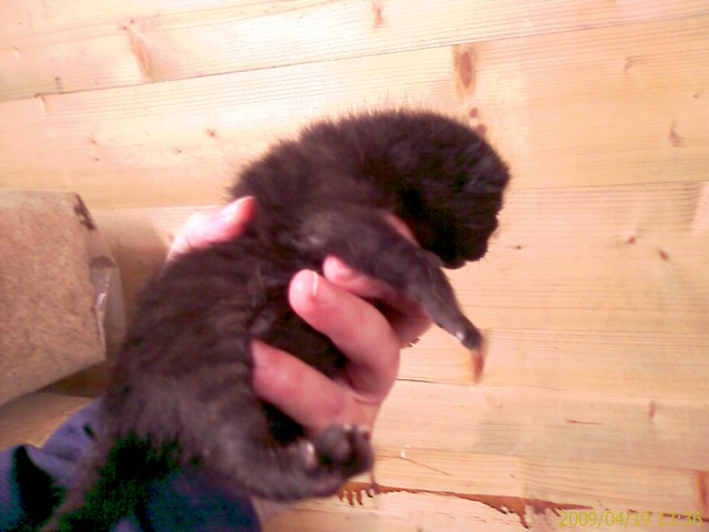 20090419.jpg