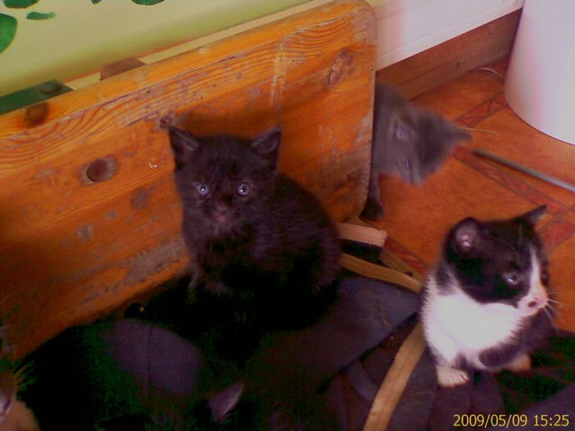 20090509.jpg