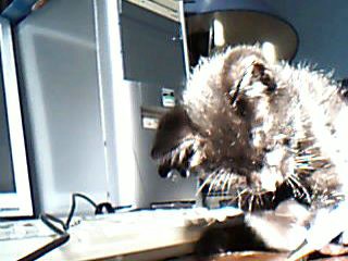 20090531 (11).jpg