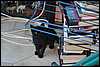 20090530 (3).JPG