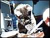 20090531 (1).jpg