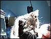 20090531 (2).jpg