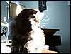 20090531 (8).jpg