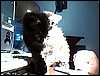 20090531 (9).jpg