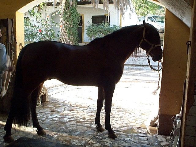 DCP_9768.JPG