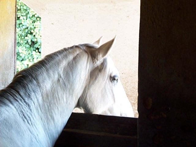 DCP_9773.JPG