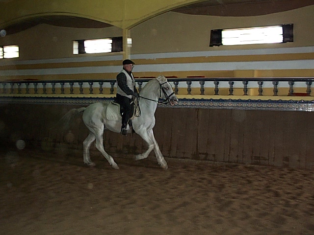 DCP_9748.JPG