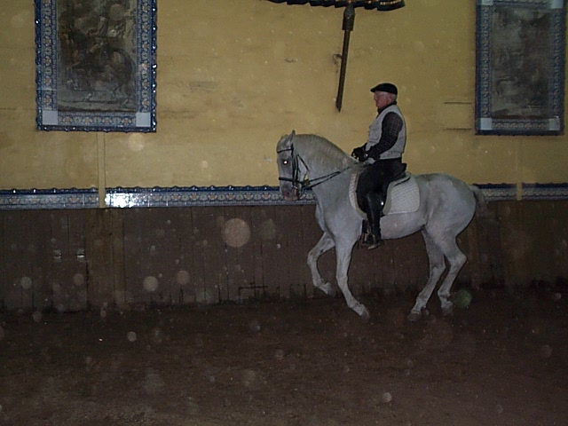 DCP_9751.JPG