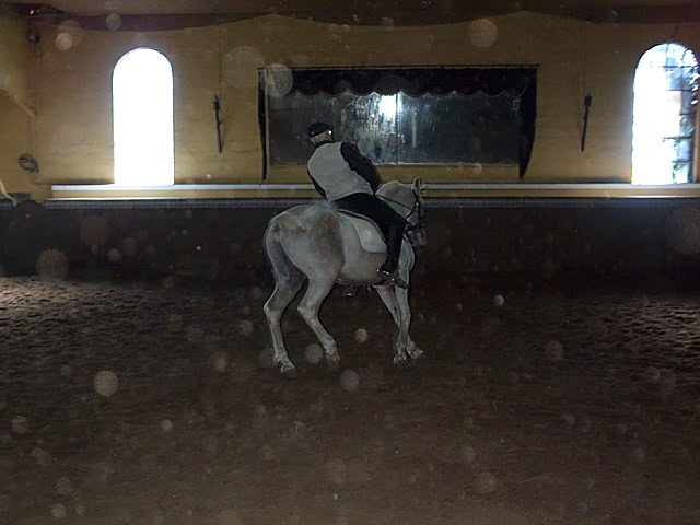 DCP_9752.JPG