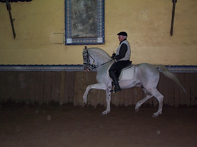 DCP_9755.JPG