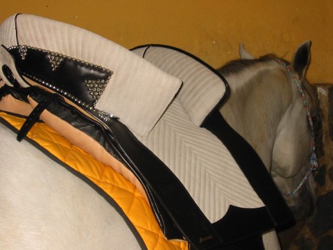 selle-portugaise2.jpg