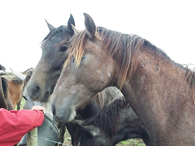 DCP_0887.JPG