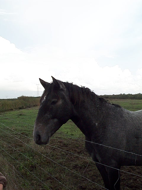 DCP_0899.JPG