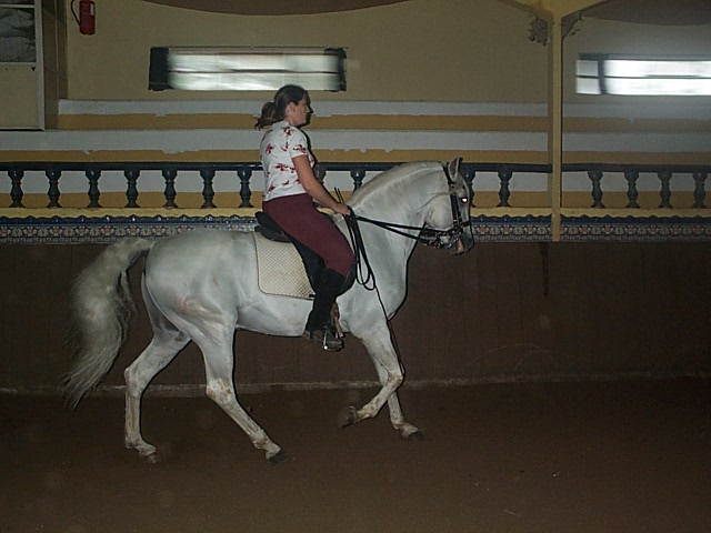 DCP_0712.JPG