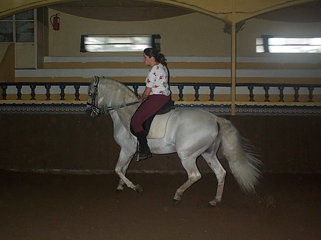 DCP_0713.JPG