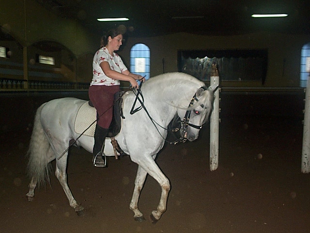DCP_0715.JPG