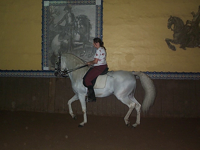 DCP_0716.JPG