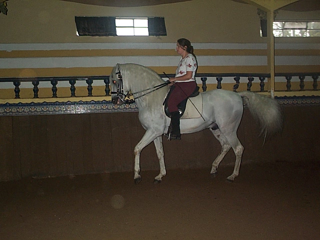 DCP_0718.JPG