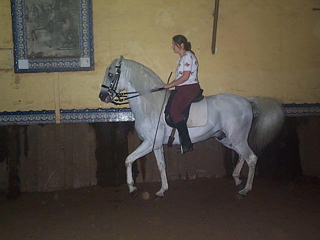 DCP_0720.JPG