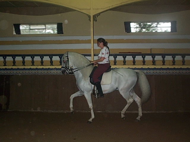DCP_0721.JPG