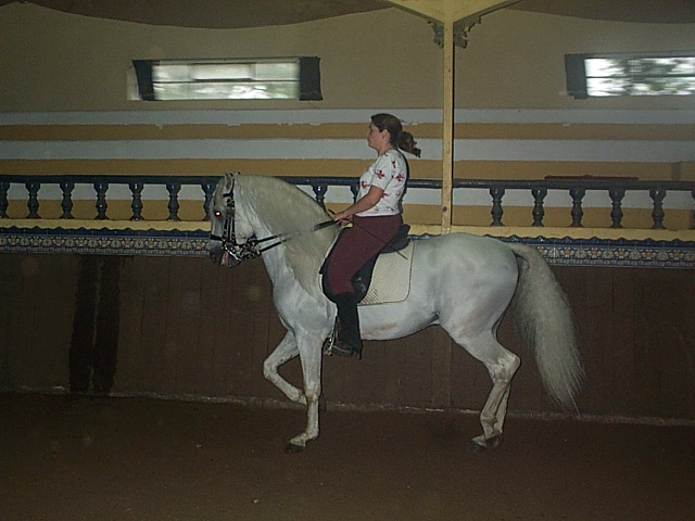 DCP_0724.JPG