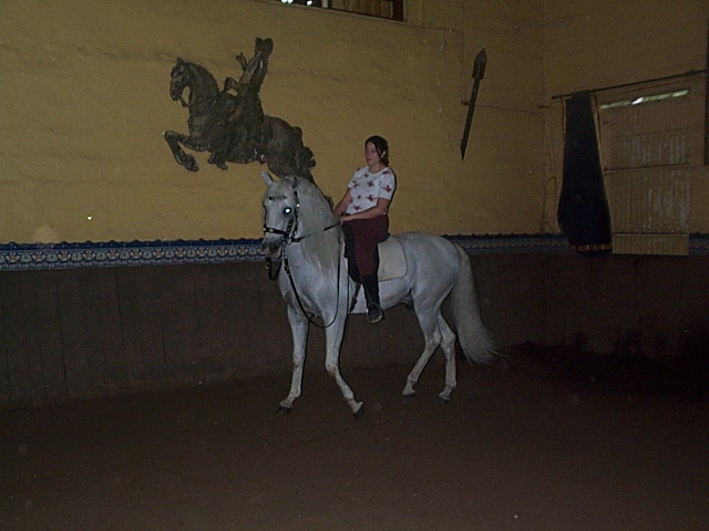 DCP_0726.JPG
