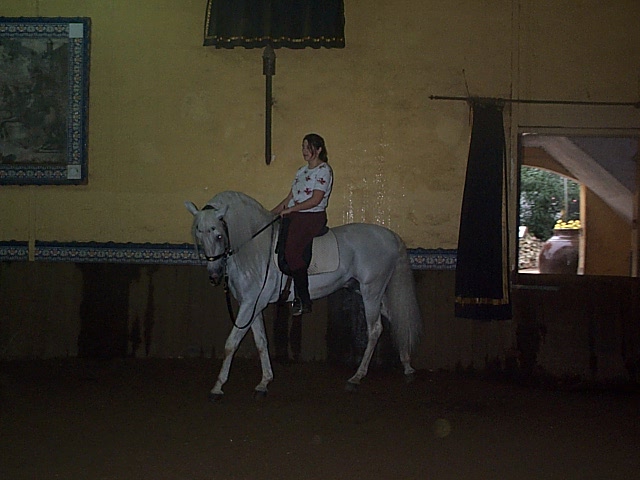 DCP_0728.JPG