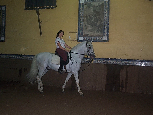 DCP_0729.JPG