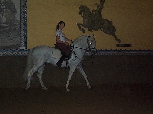 DCP_0730.JPG