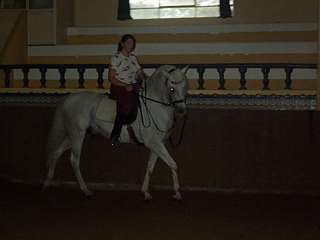 DCP_0731.JPG