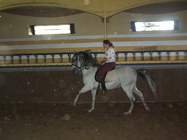DCP_0772.JPG