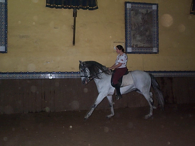 DCP_0773.JPG