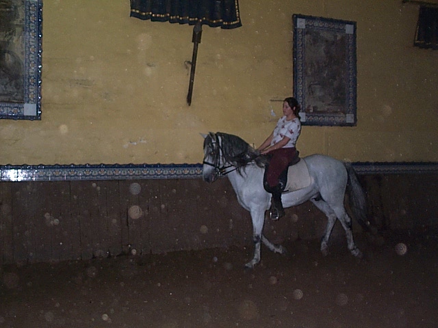 DCP_0774.JPG
