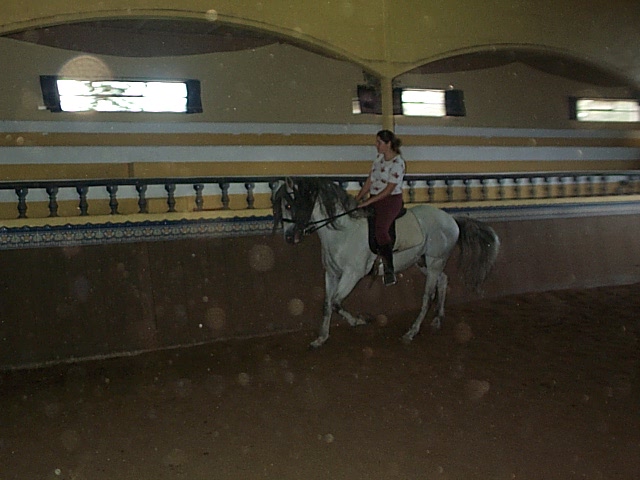 DCP_0775.JPG