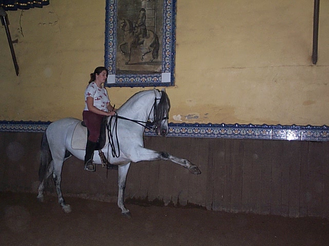 DCP_0778.JPG