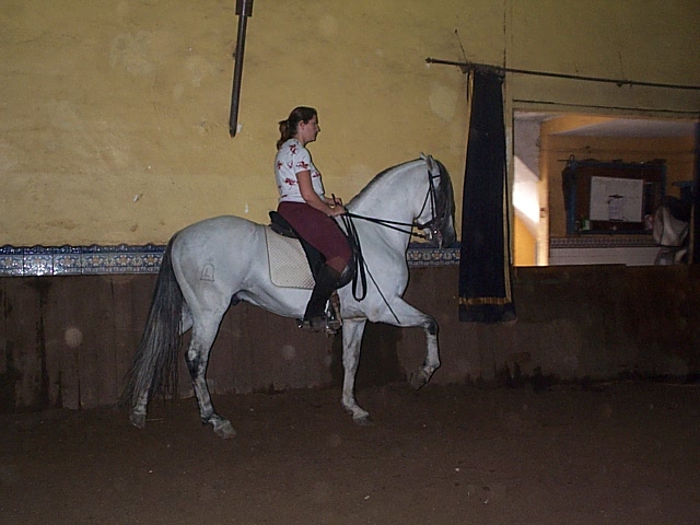 DCP_0780.JPG