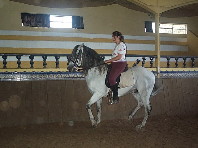 DCP_0781.JPG