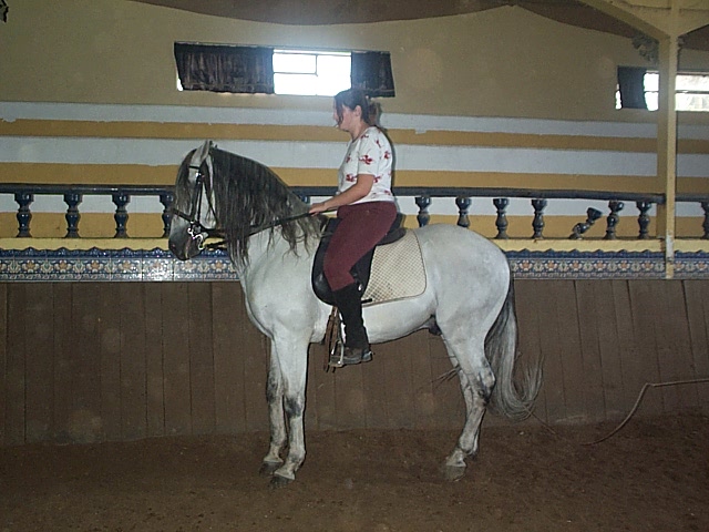 DCP_0783.JPG
