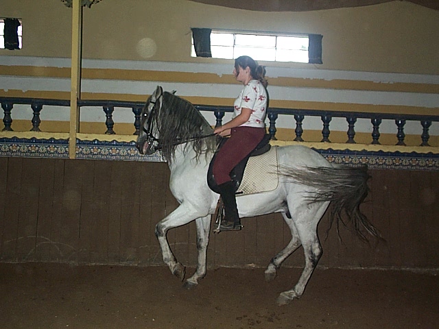 DCP_0784.JPG