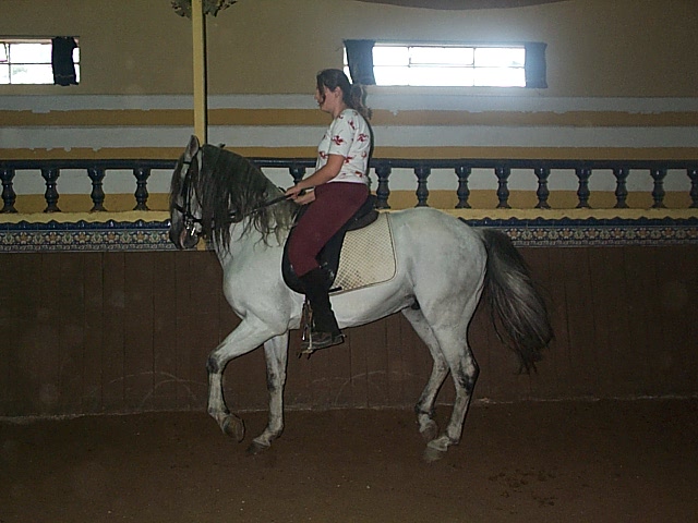DCP_0785.JPG