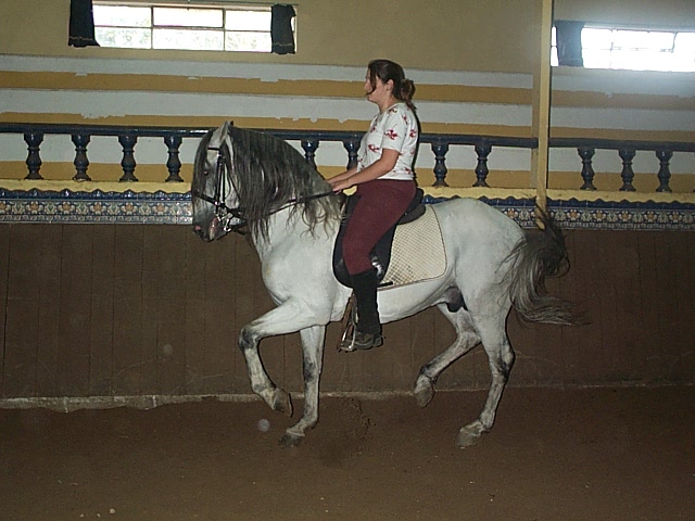 DCP_0786.JPG