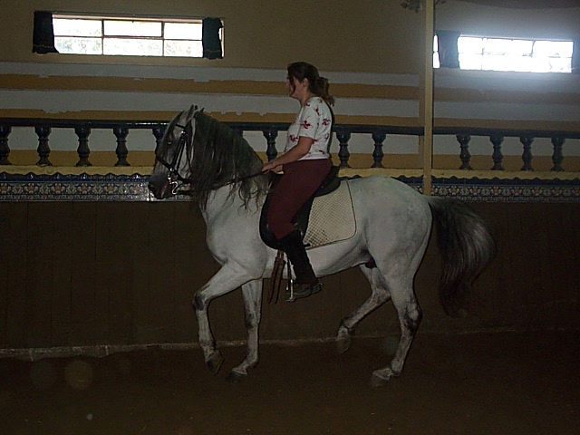 DCP_0787.JPG