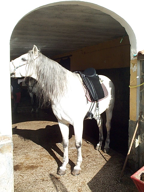 DCP_0870.JPG