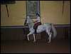 DCP_0722.JPG