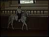 DCP_0731.JPG